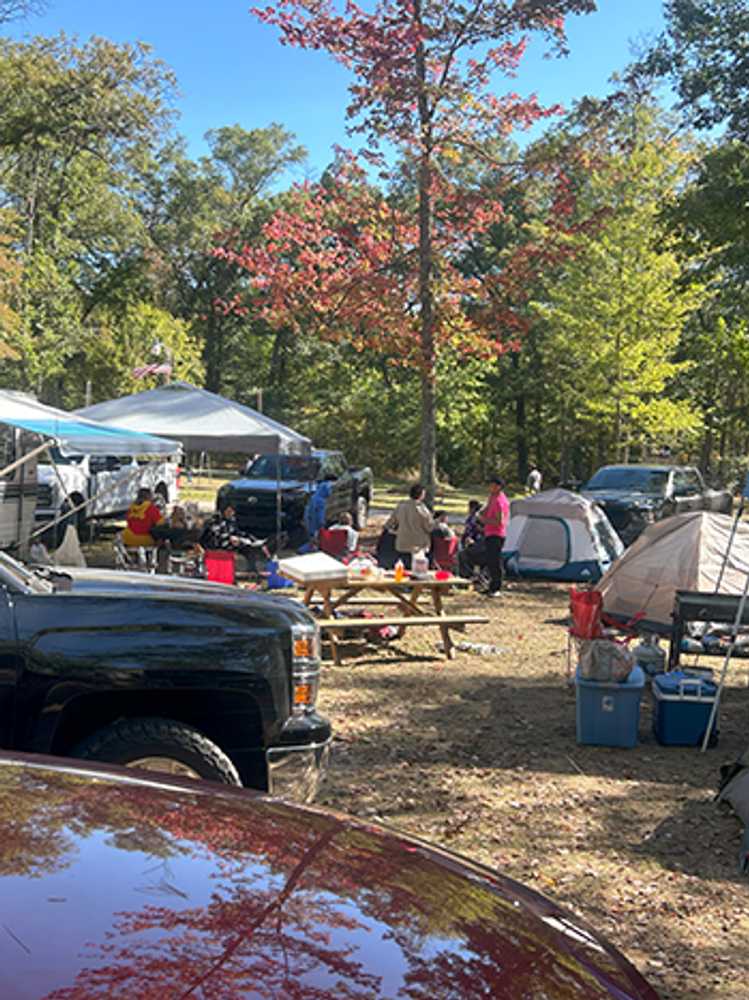 Heart of the Forest RV Park, Wellston, Michigan - Photo 4