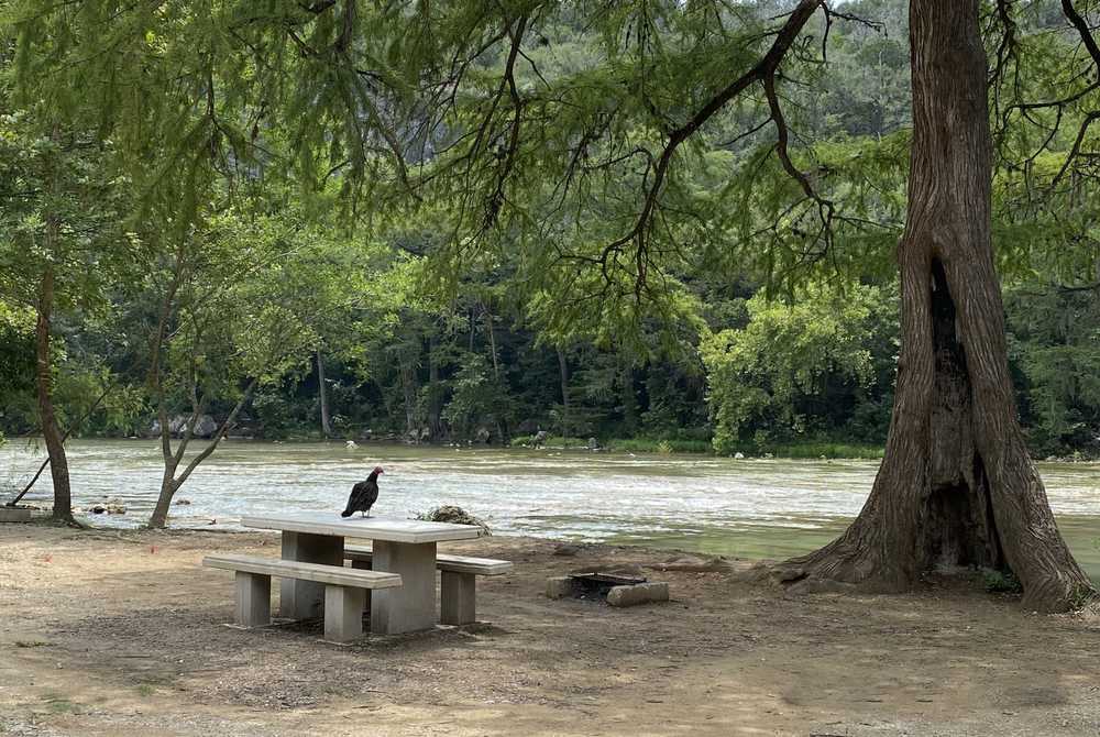Park Image 7