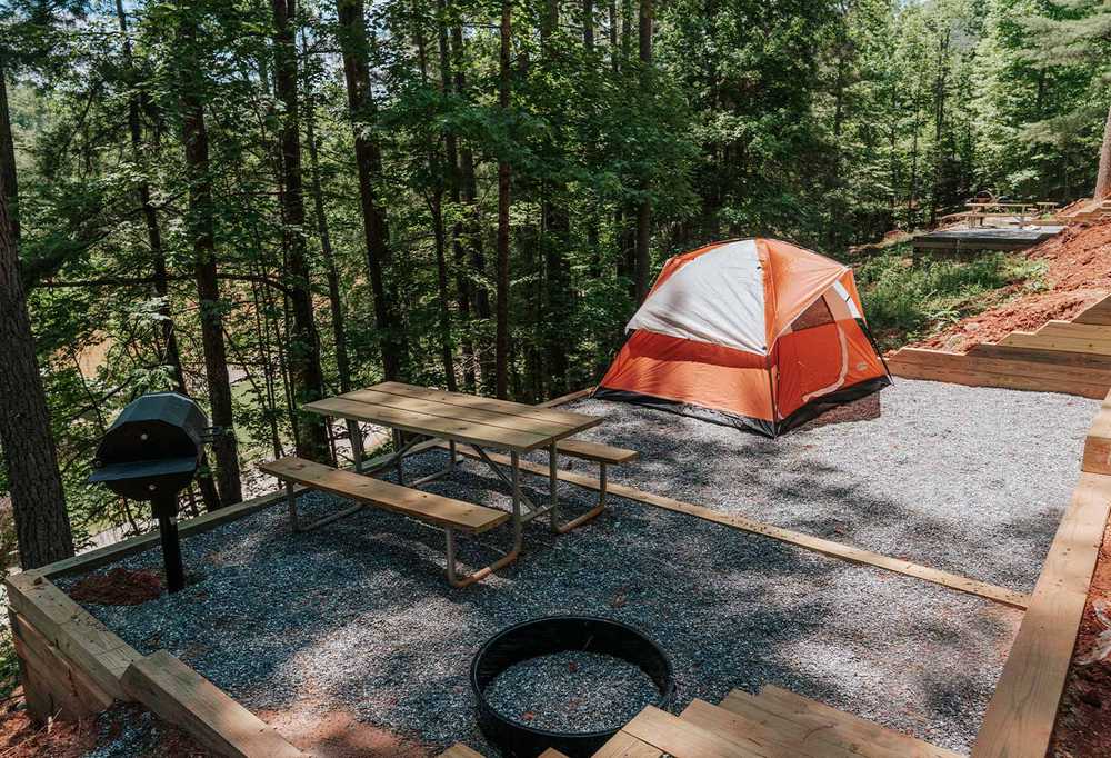 Red Carpet Tent Site