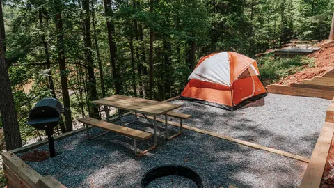 Red Carpet Tent Site — image 1 of 5