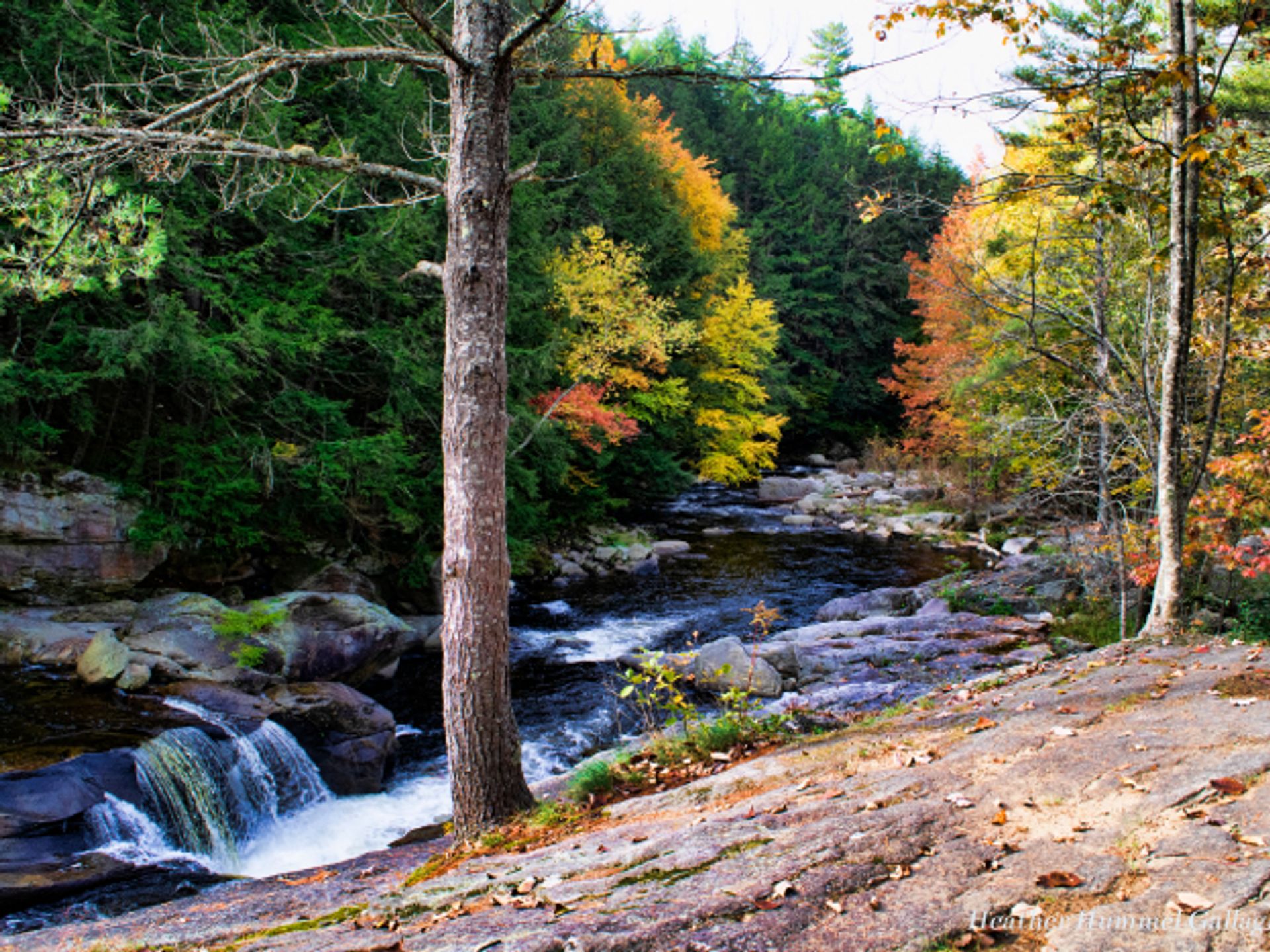 Crows Nest Campground, Newport, New Hampshire