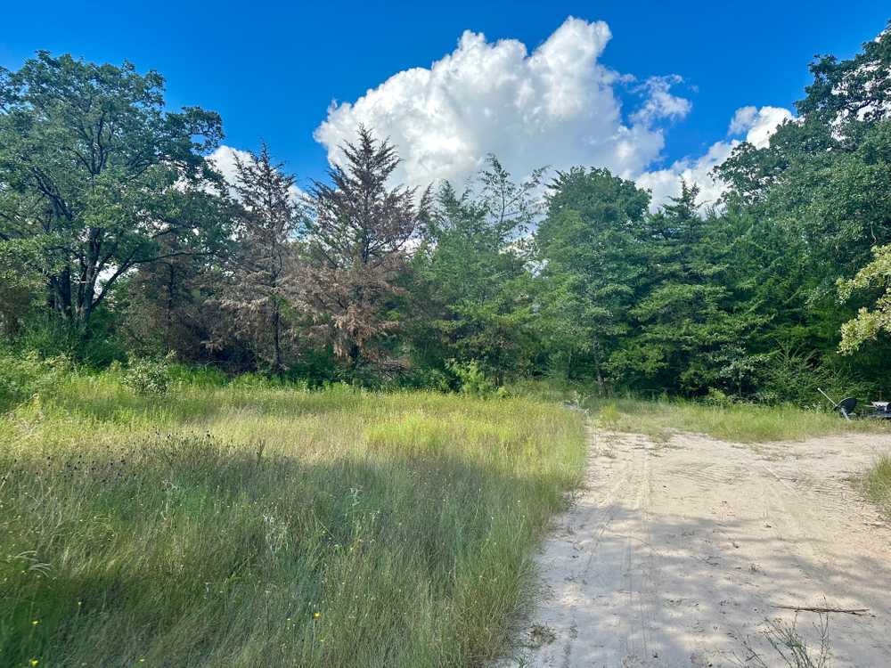 Park Image 7
