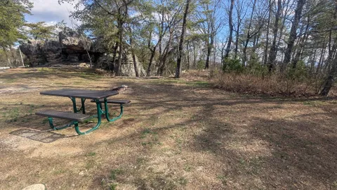 Primitive Tent Site — image 3 of 3
