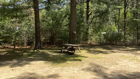 Full RV Site - 50 AMP — image 1 of 11