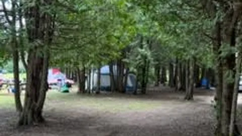 Tree covered rustic tent site — image 1 of 7