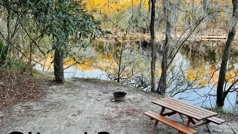 Primitive Tent Site - 1 tent max — image 2 of 3