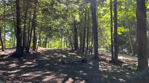 Timber Trail - Unserviced Site — image 2 of 6