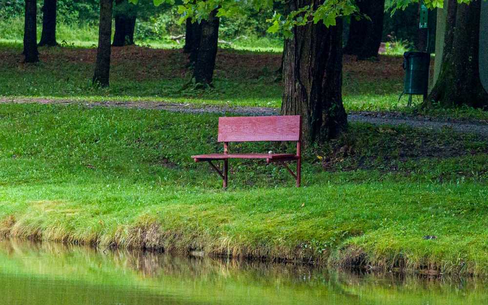 Park Image 27