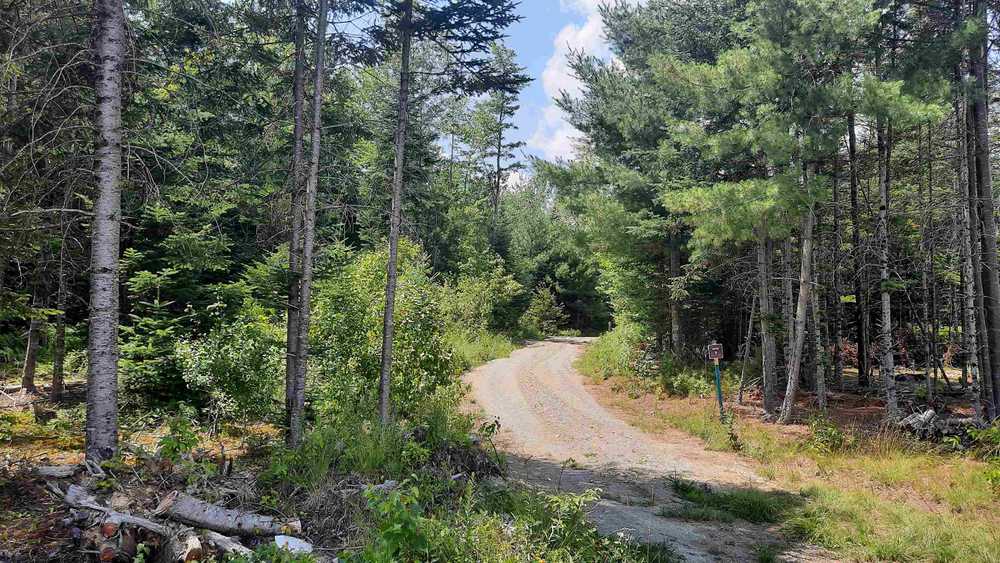 RV / Tent SIte