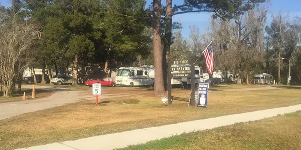 Big Tree RV Park campground