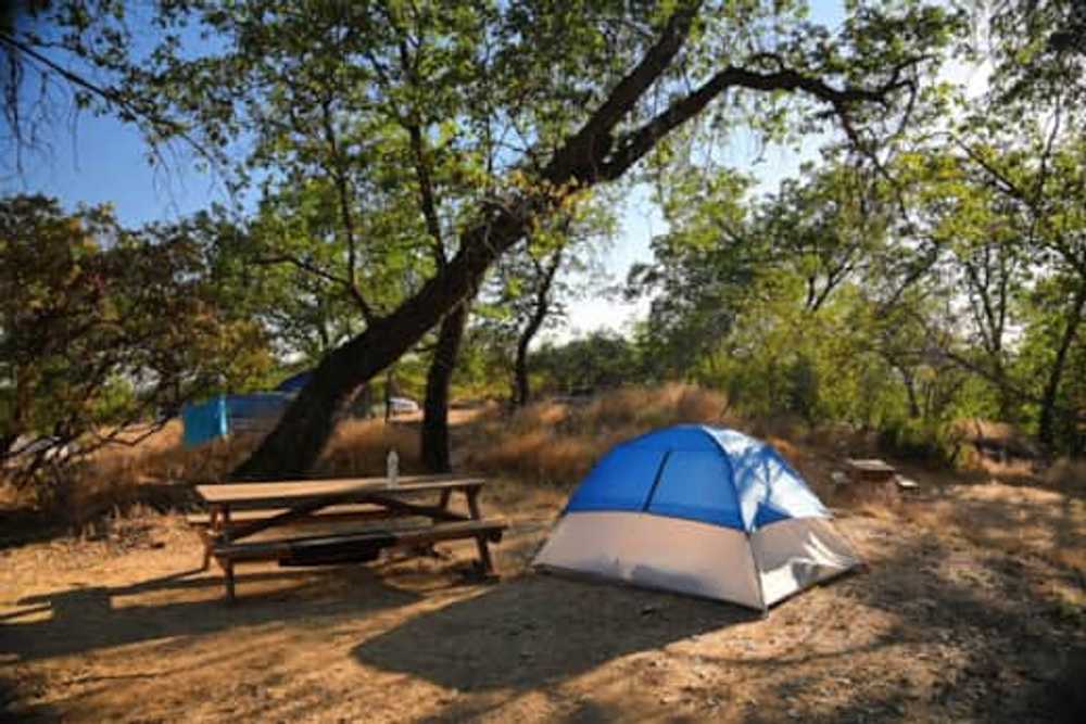 Sequoia Mountain Farms, Miramonte, California - Photo 2