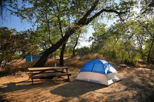 Sequoia Mountain Farms – photo 2