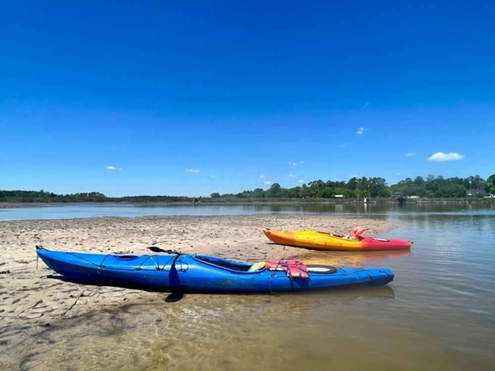 Belle Bluff Island Campground - Photo 4