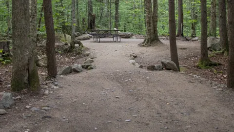 Tent- Electricity, Wooded — image 2 of 2