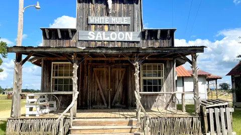 Cabin 11 "White Mule Saloon" — image 1 of 8