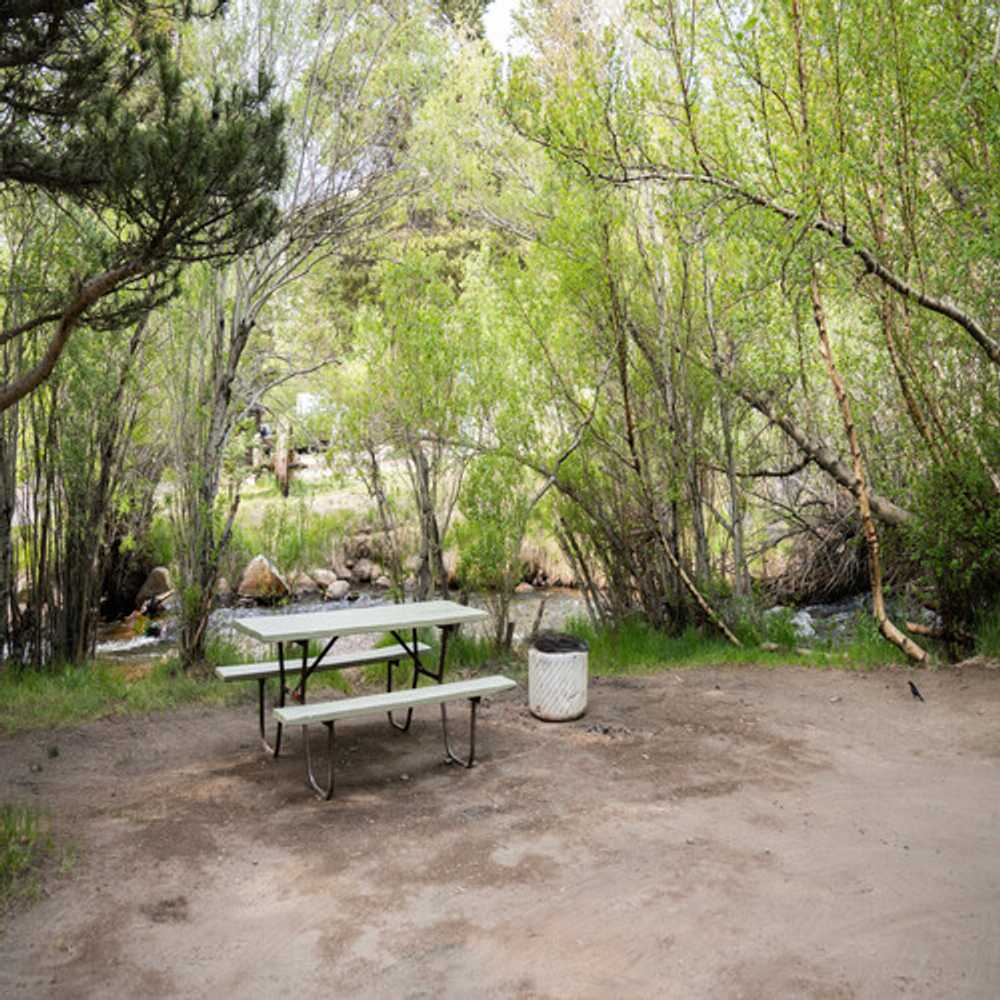 Escape the Ordinary: Your Home Away from Home at Bishop & Sons RV Camper Park & Car Wash