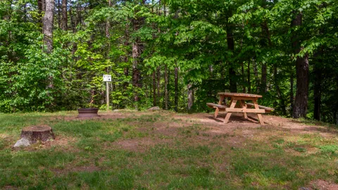 Tent, Unserviced — image 8 of 8