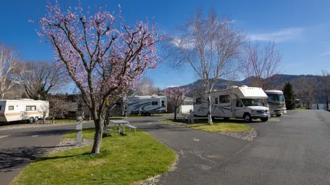 Standard Pull-Through RV Site — image 1 of 4