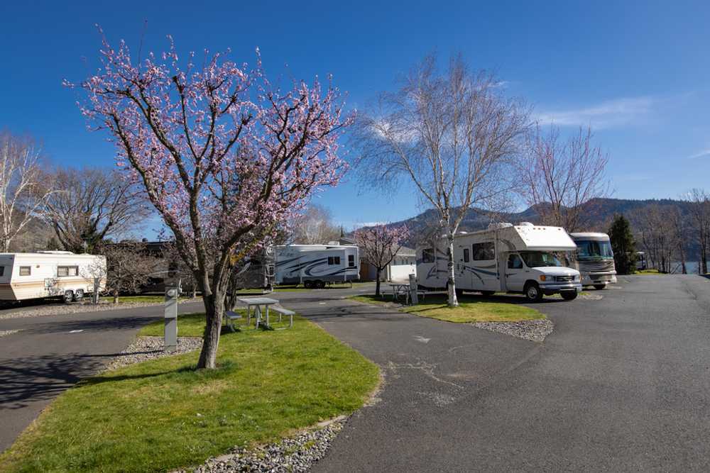 Standard Pull-Through RV Site