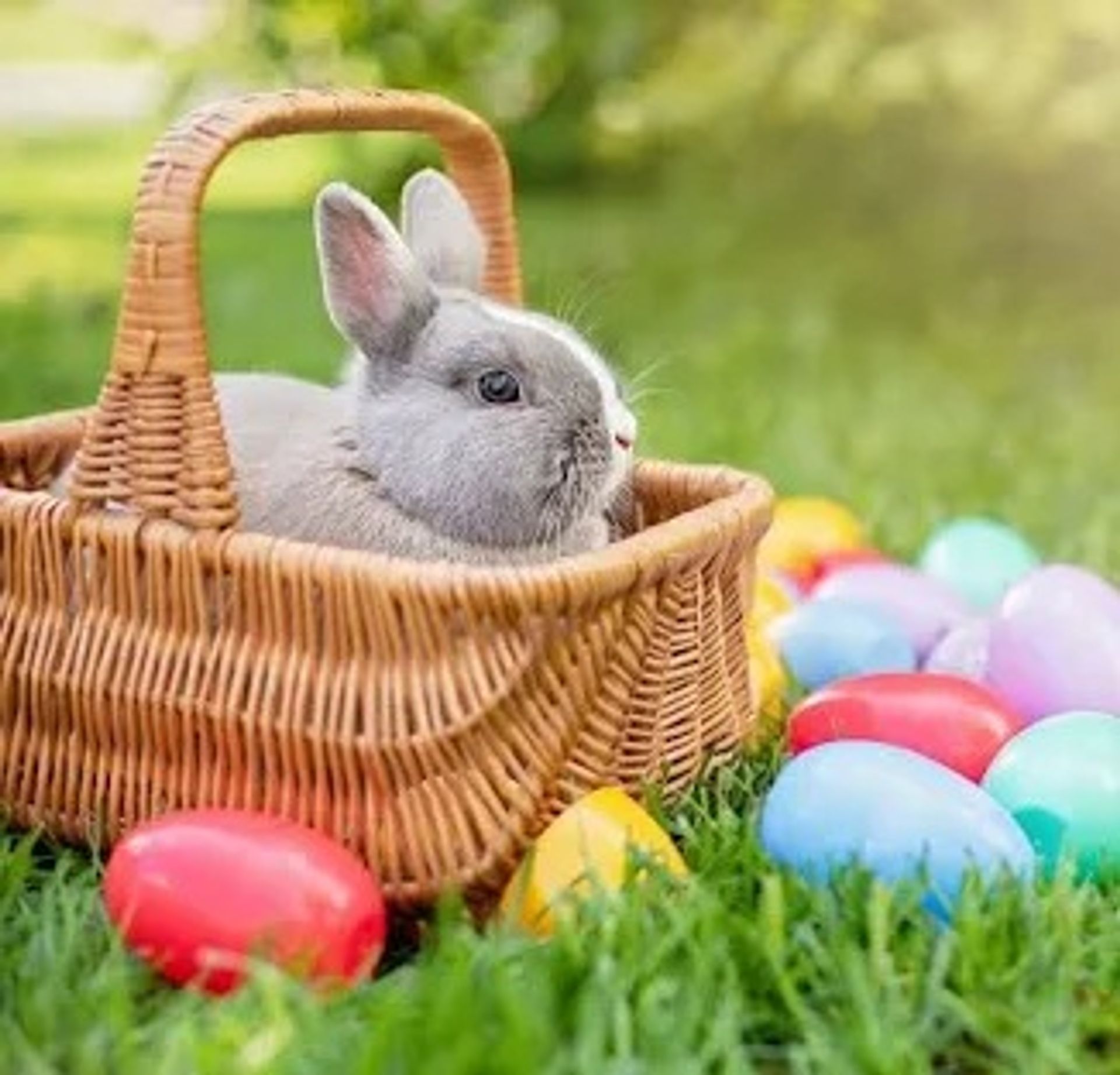 Timber Ridge Horse Campground