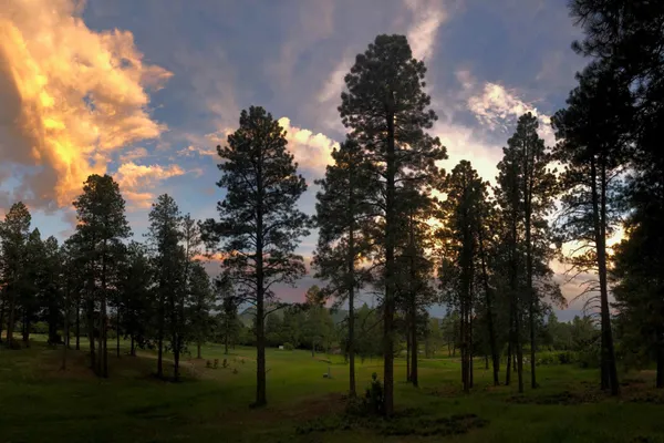 Echo Basin Cabin and RV Resort – photo 1
