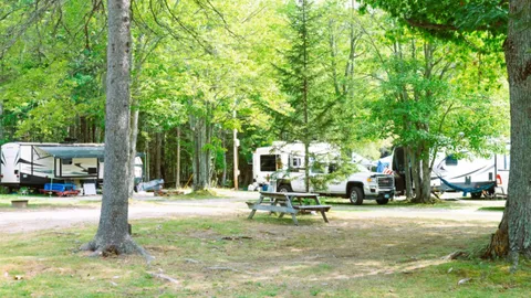Bear Corners Pull Thru Deluxe RV Site — image 1 of 1