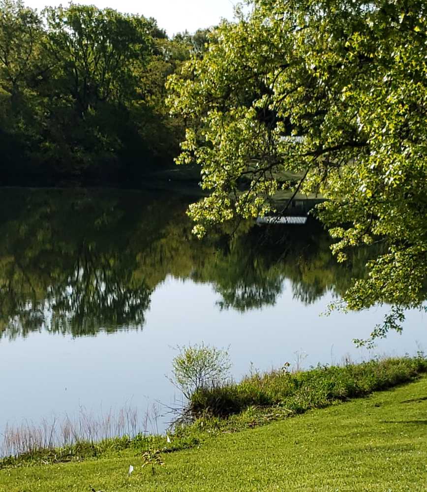Baring North Sever Lake - Photo 5