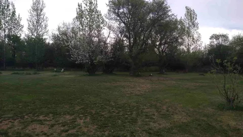 RV/TENT Dry Camping Site — image 2 of 3