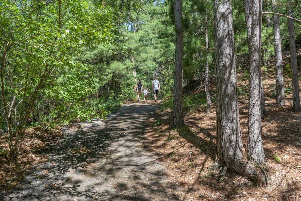 Park Image 8