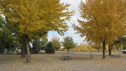 Pull Thru RV Site — image 2 of 5