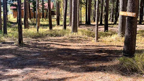 North Wooded Tent Site — image 2 of 14