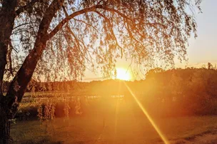 Spirit Springs Campground – photo 3