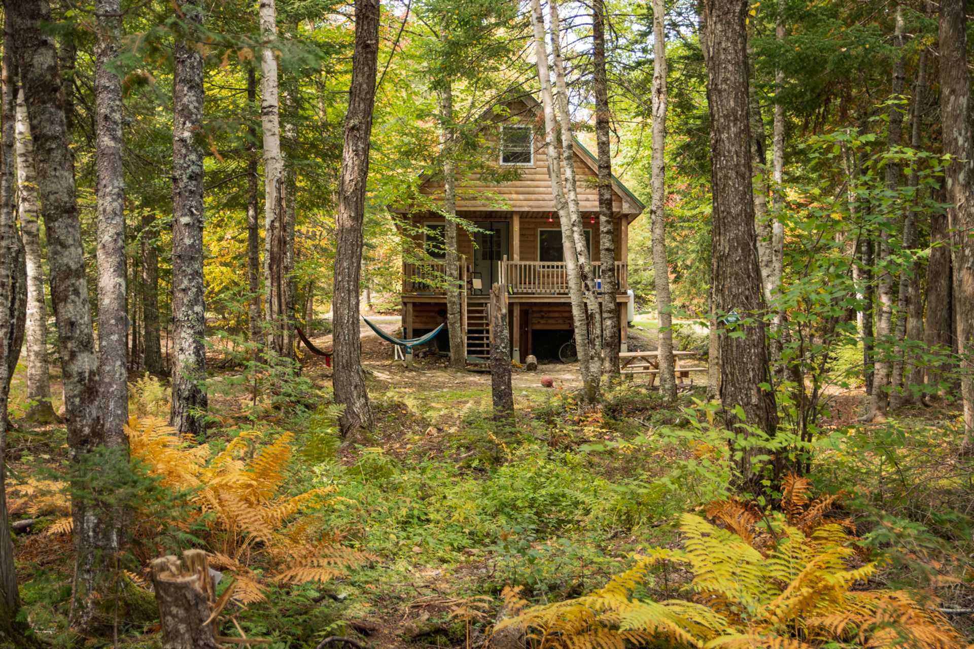 Wild Fox Cabins & Campground