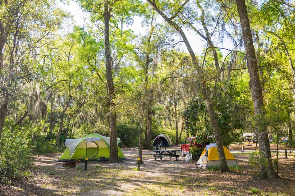 Jekyll Island Campground - Photo 3