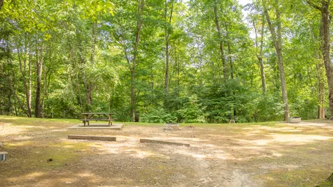Lake Stephens: Primitive Tent Site — image 1 of 1