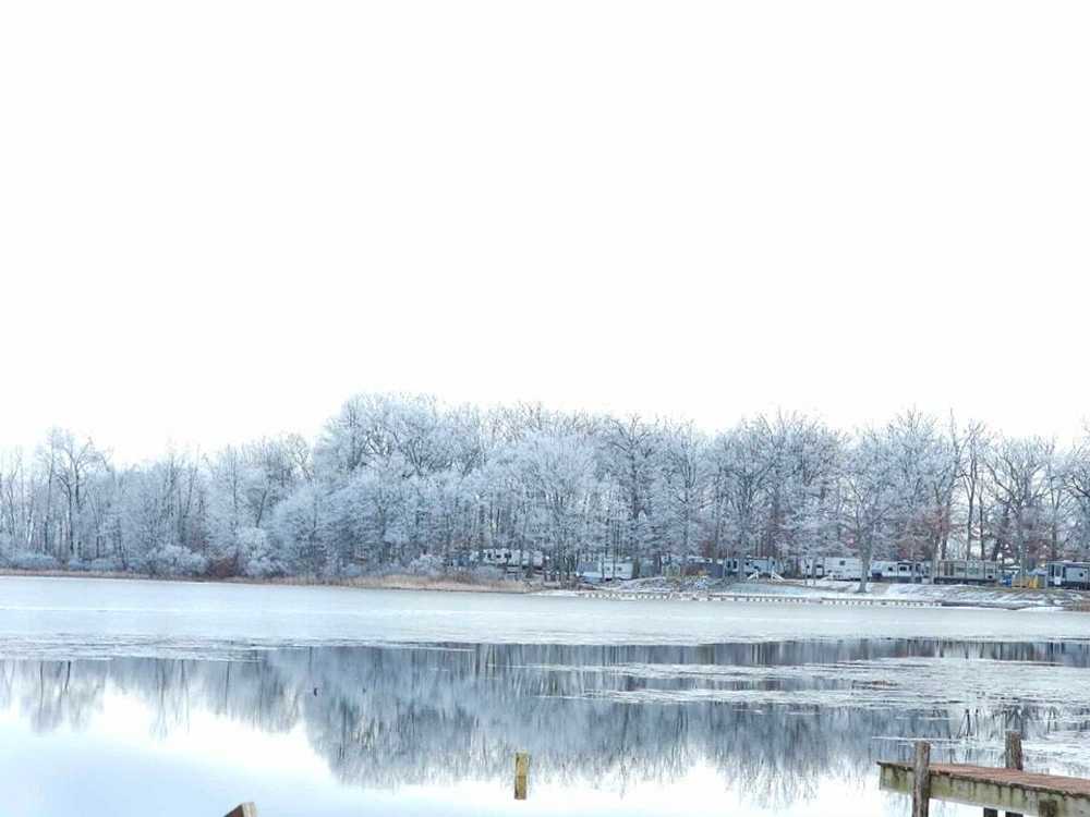 Park Image 5