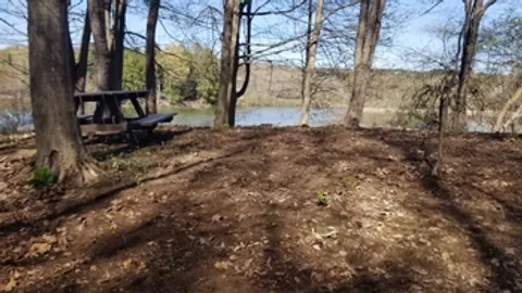 Lakeside Tent Site — image 6 of 6