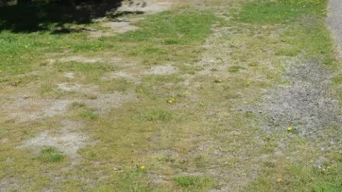 Back-In Leisure Creekside Wide RV Site — image 2 of 7