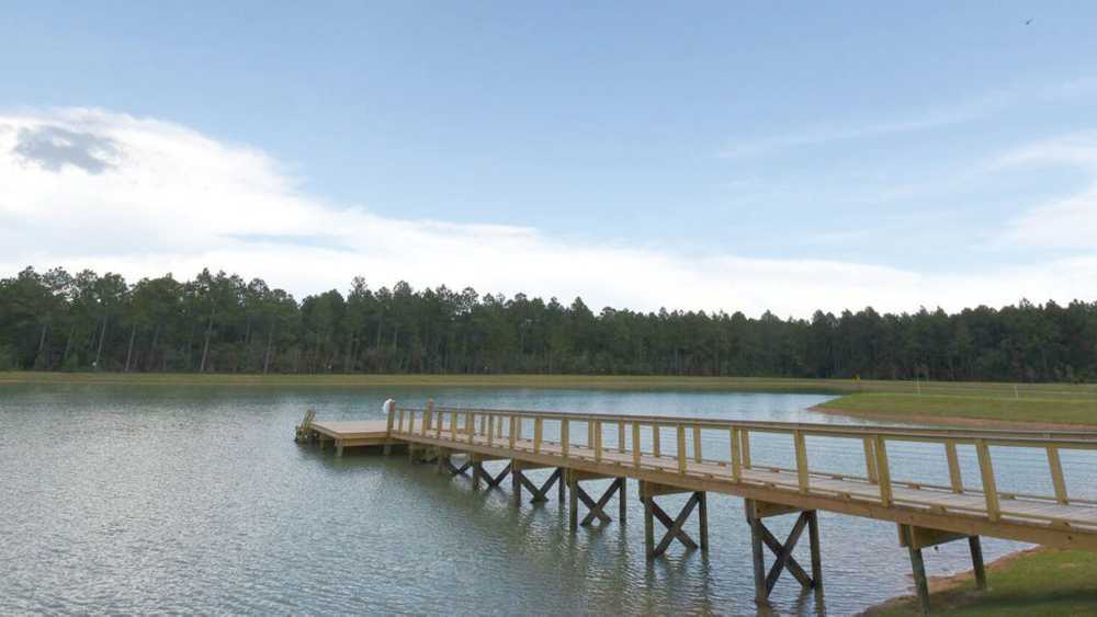 Sun Outdoors Orange Beach - Photo 5