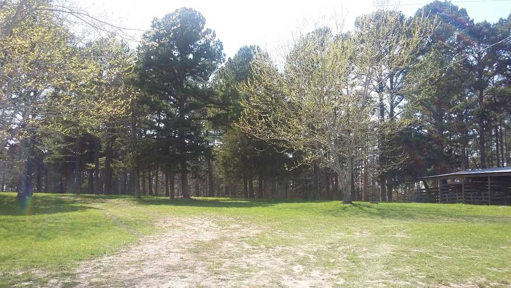 Whispering Pines Campground, Jadwin, Missouri - Photo 2