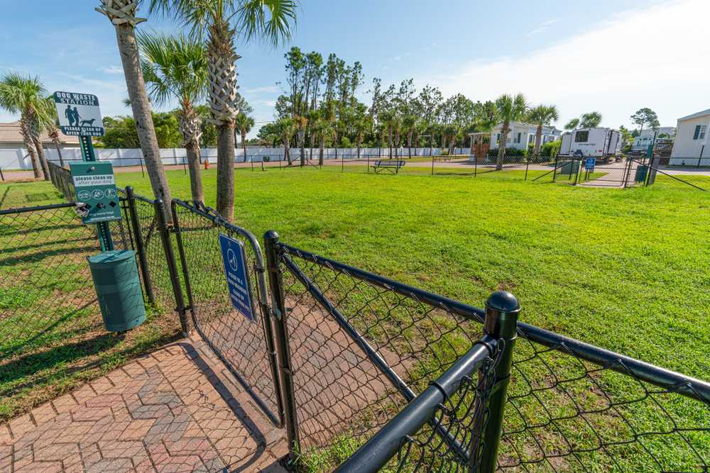 Sun Outdoors Panama City Beach - Photo 4
