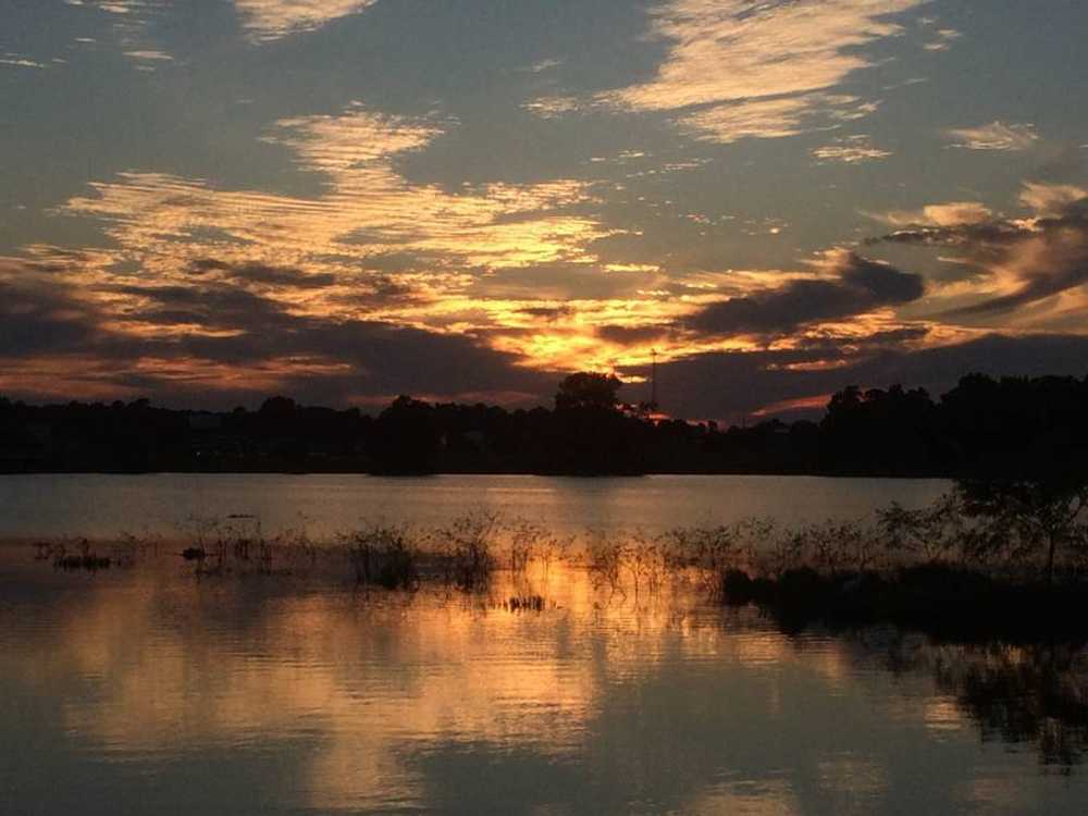 Water's Edge RV Resort - Photo 5