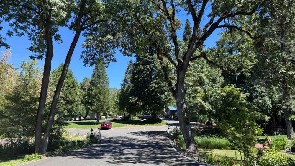 Park Image 7