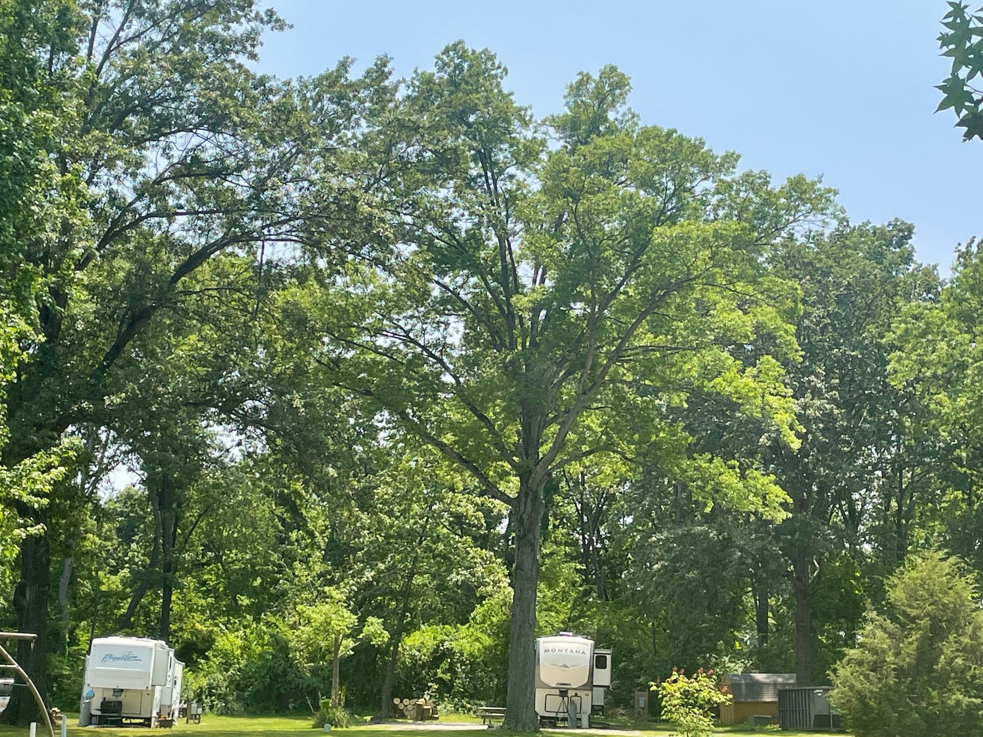 Old Bates Campground, Sesser, Illinois