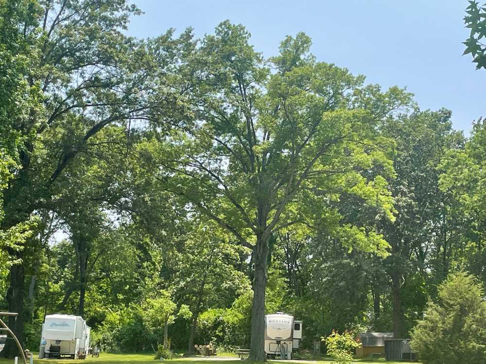 Old Bates Campground, Sesser, Illinois - Main Photo