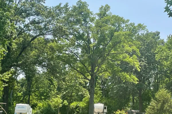 Old Bates Campground – photo 1