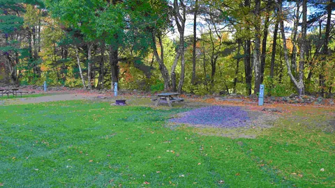 Grassy Field Full Hook-Up RV Site — image 5 of 5