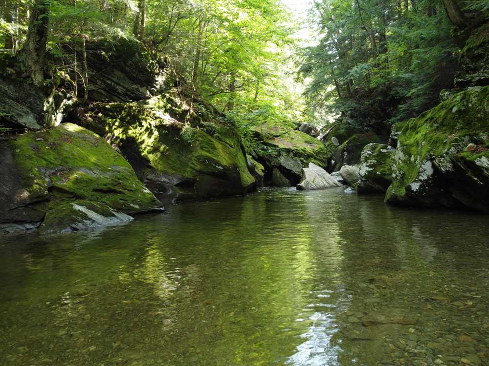 Park Image 7