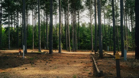 Premium Wooded Pull Through RV Site — image 1 of 3