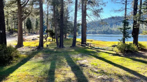 Waterfront Minnow #5 — image 2 of 2